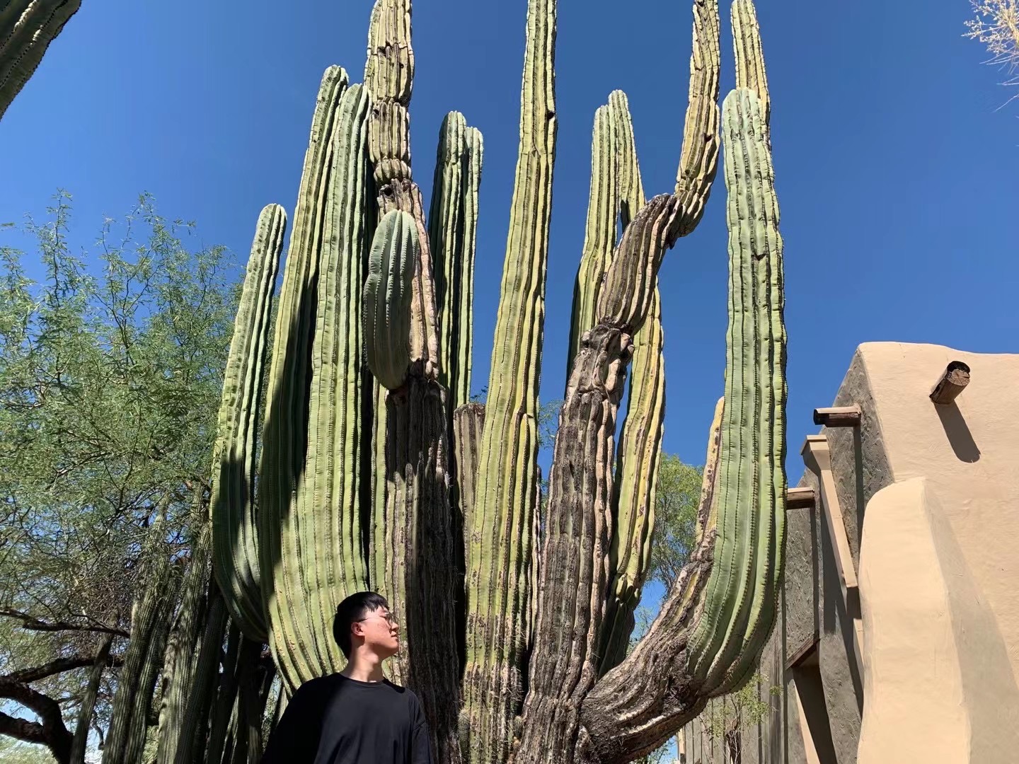 Phoenix Botanical Garden